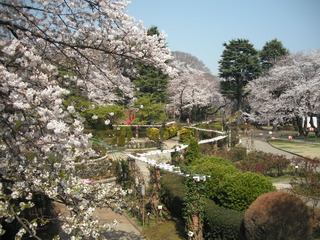 3月28日 (2).JPG