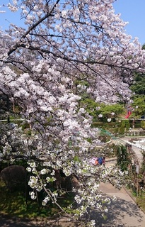 3月28日 (9).jpg