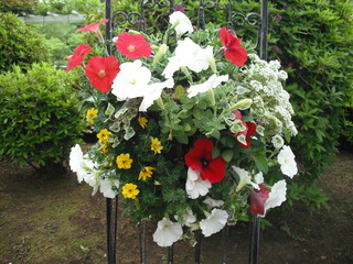 DSCF6244.JPG