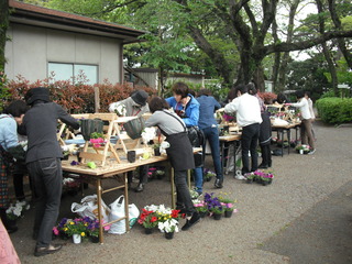 DSCF6253.JPG