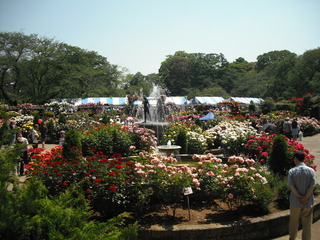 DSCF6273.JPG