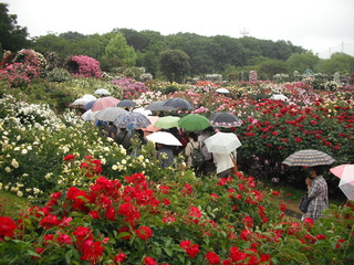 DSCF6315.JPG