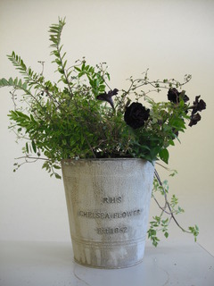 DSCF6320.JPG