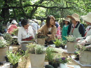 DSCF6352-2.JPG