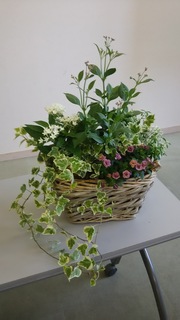 8月4日 (2).JPG